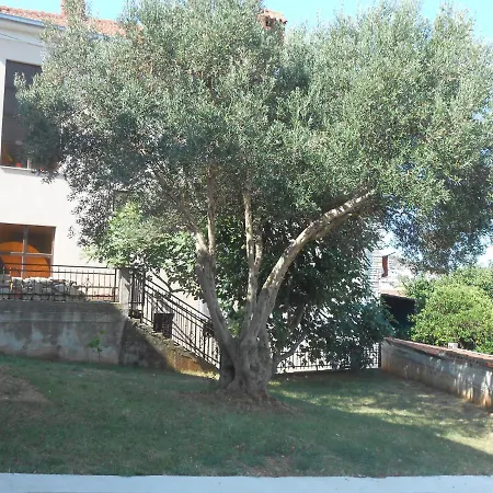 With Parking Space Okrug Gornji, Ciovo - 13859 Apartment *