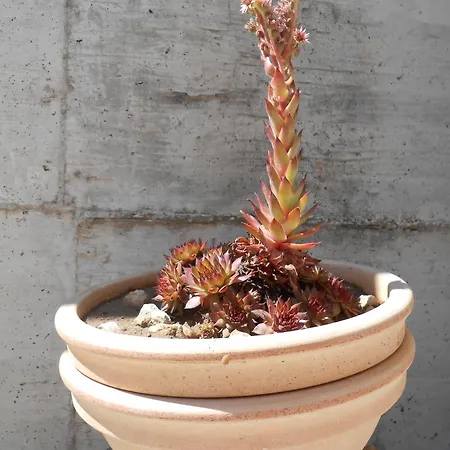 Апартаменти With Parking Space Okrug Gornji, Ciovo - 13859 *